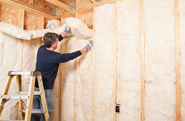 Best Eco-Friendly or Green Insulation Solutions in Lawndale, CA